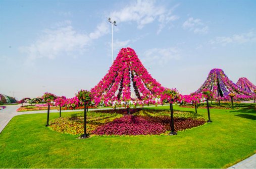 The Miracle Garden