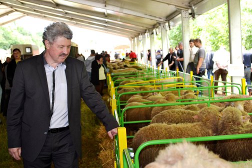 Национален събор на овцевъдите в Арбанаси