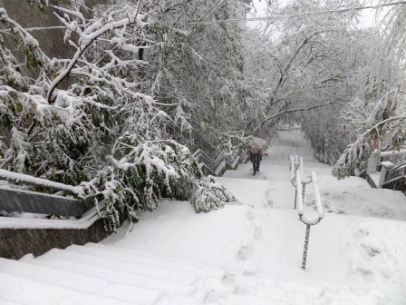 Снегът блокира движението във Велико Търново