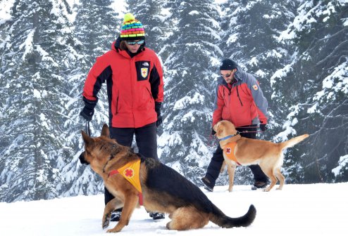 Планински спасители с кучета в действие