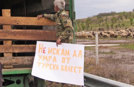 Животновъди блокираха главния път за Турция край Свиленград