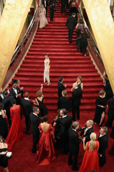 Оскарите - по червения килим