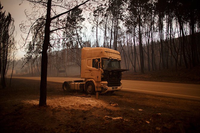 Броят на жертвите на горските пожари в Португалия достигна 62