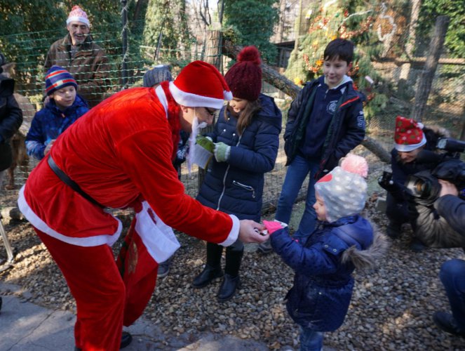 Дядо Коледа раздаде подаръци на животните във Варненския зоопарк