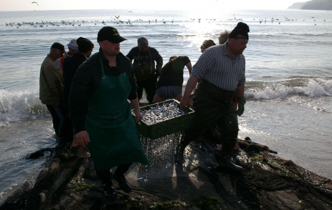 Природозащитници обявиха риболова за изчезваща професия