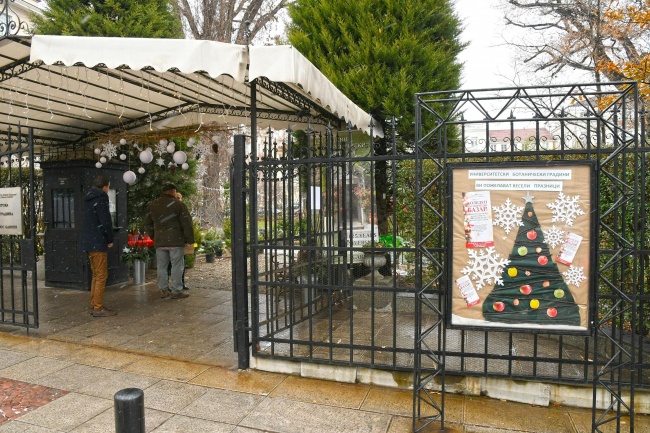  Тридневен коледен базар стартира в Ботаническата градина в София