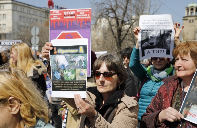 Протестно шествие срещу насилието върху животни премина в София