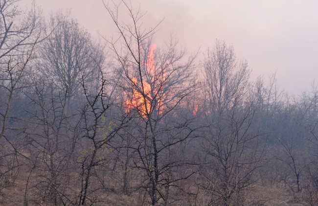 Нов пожар пламна западно от Благоевград