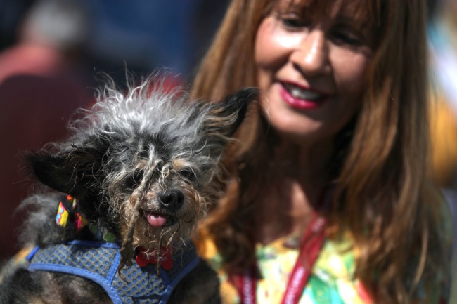 Скамп дъ Трамп спечели конкурса за най-грозно куче на планетата 