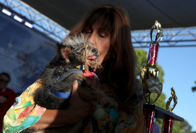 Скамп дъ Трамп спечели конкурса за най-грозно куче на планетата 