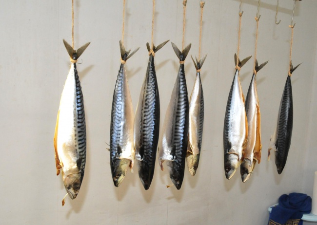 Топлият октомври намали количествата риба на пазара в Бургас