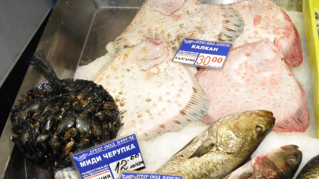 Топлият октомври намали количествата риба на пазара в Бургас