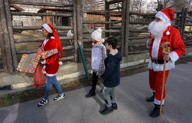 Животните във варненския зоопарк посрещнаха Дядо Коледа