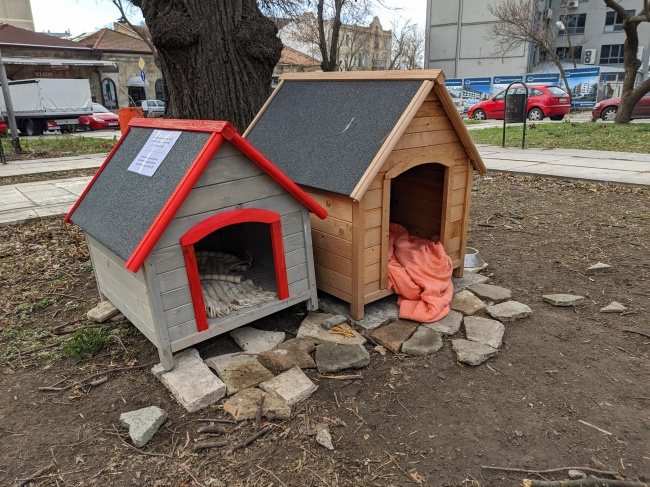 Къщички за бездомни кучета поставиха във варненска градинка