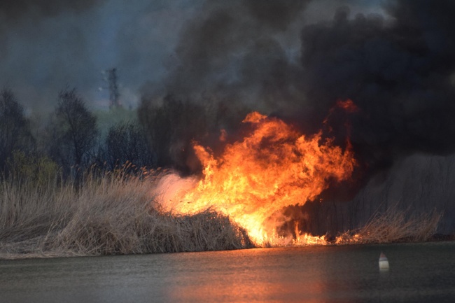 Голям пожар гори край езерото Чепинци