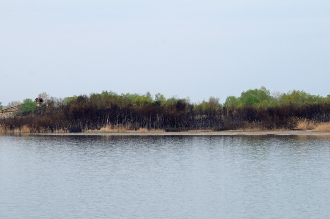  Последици от пожара на езерото край Негован