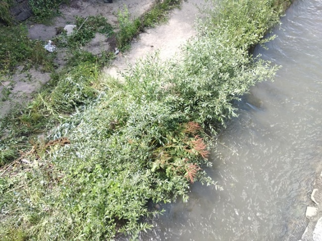 Служители на Столична община почистиха коритото на Владайска река в София