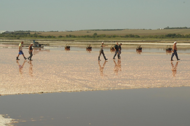 Започна добивът на сол в ''Черноморски солници'' в Бургас