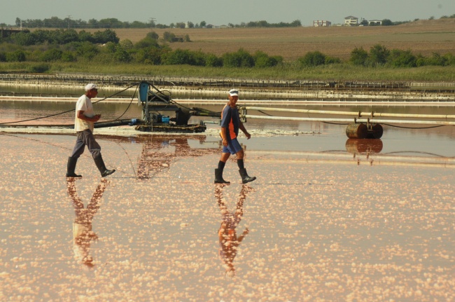 Започна добивът на сол в ''Черноморски солници'' в Бургас