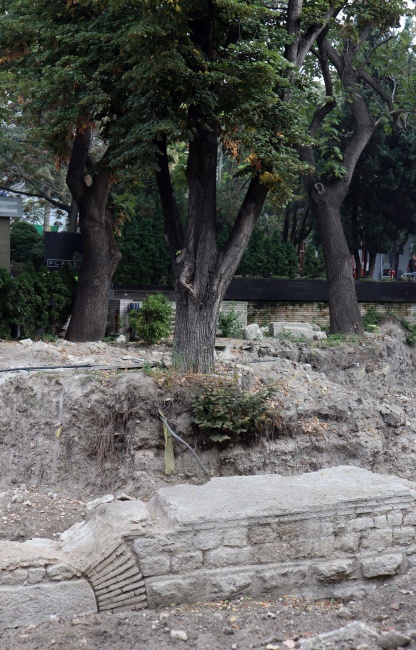 Две дървета на около 60 години стопират експонирането на архелогически обект на над 2000 години във Варна