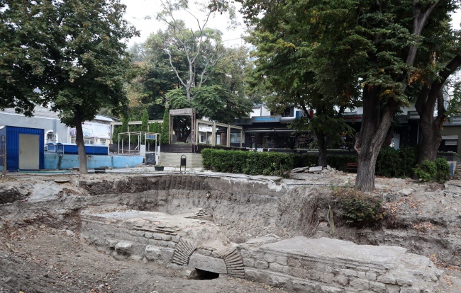 Две дървета на около 60 години стопират експонирането на архелогически обект на над 2000 години във Варна