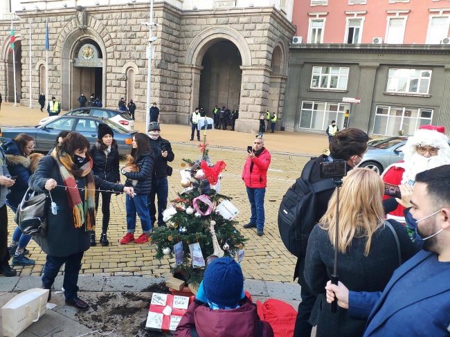  Протестиращи сложиха празнична елха пред Министерски съвет