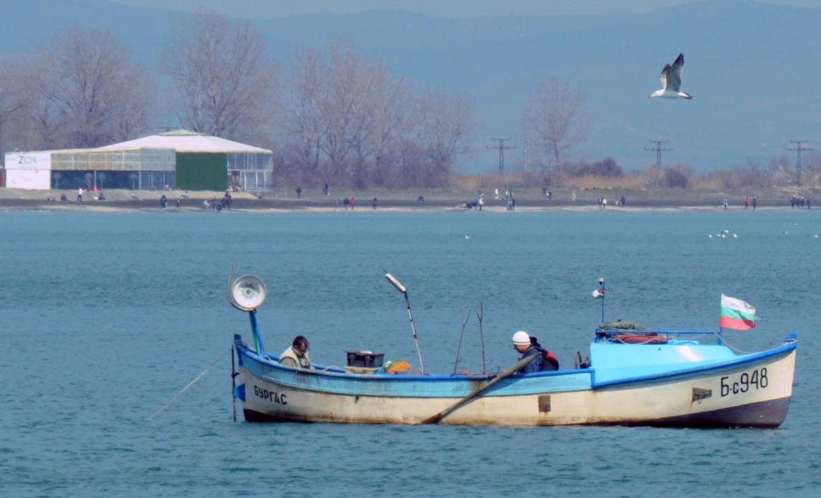 Риболовците започнаха улова на попчета през слънчевия ден