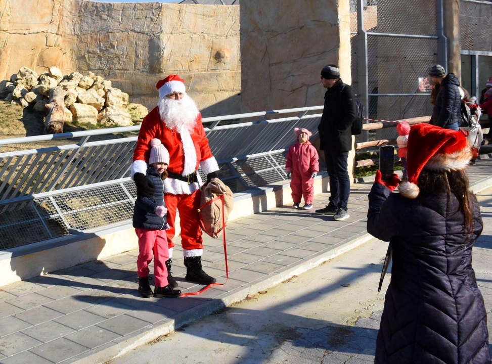 Дядо Коледа донесе подаръци на животните във варненския зоопарк