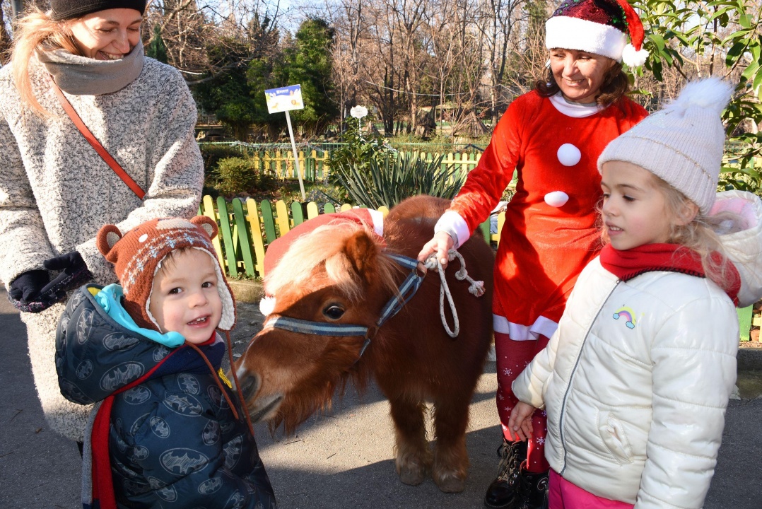 Дядо Коледа донесе подаръци на животните във варненския зоопарк
