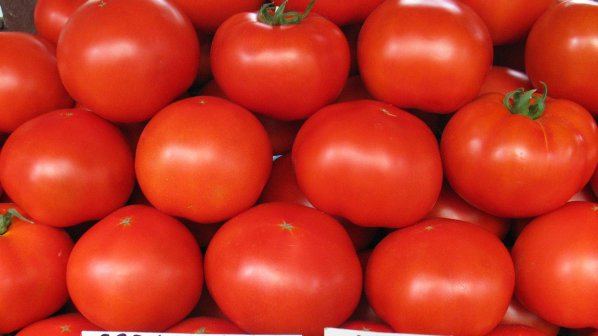 Унищожиха заразени с молец домати в Благоевград