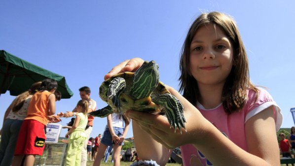 Спасиха рядък вид костенурки от лапите на бракониер