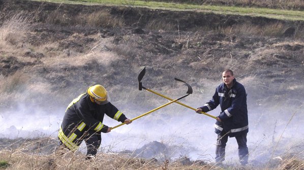 20 декара жито изгоряха в Пловдивско