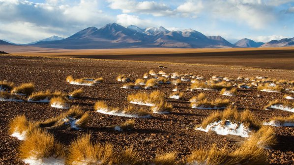 Лют студ взе 35 жертви в Боливия