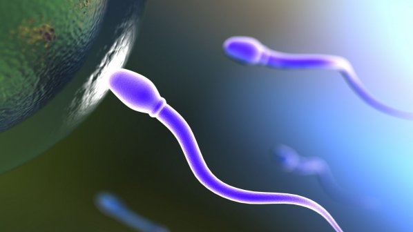 Дарител на сперма е баща на 75 деца