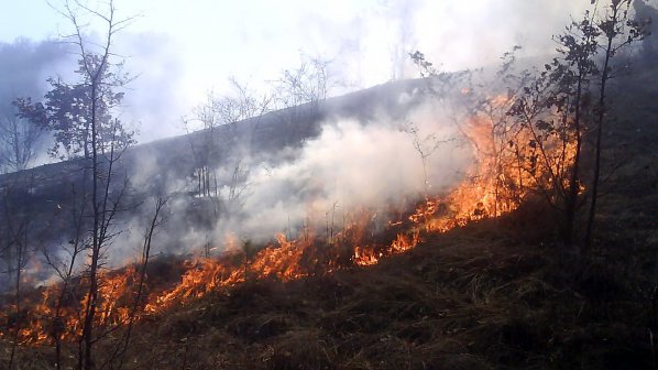 Пожар горя край село Тополчане
