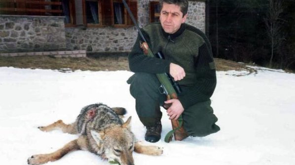 Ловците от селото на Първанов не искат вълчицата