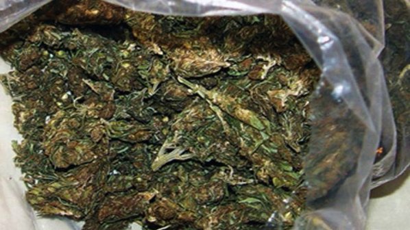 Иззеха над половин килограм марихуана