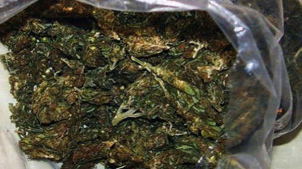 Откриха марихуана в частен дом в село Прохорово