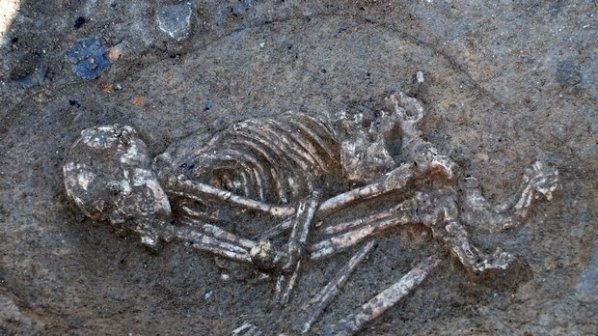 Изследват в Германия открит у нас скелет на 7500 г.