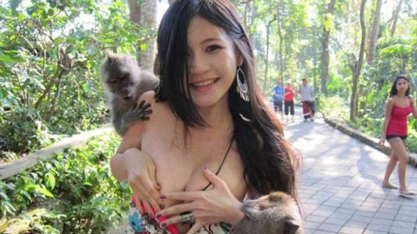 Похотливи маймуни разсъблякоха студентка