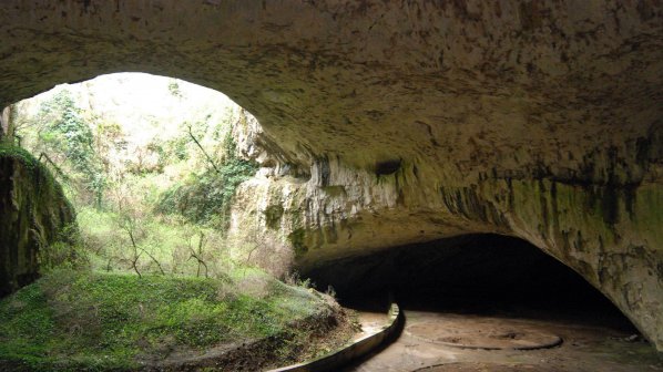 МОСВ: Прилепите в Деветашката пещера не са пострадали от &quot;Непобедимите 2&quot;