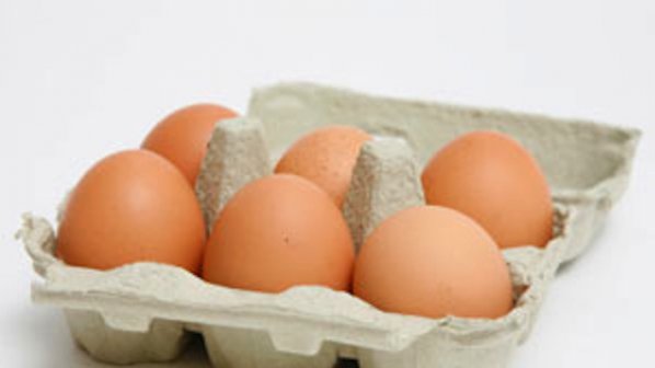 В ЕС влиза в сила забраната за продажба на яйца от отглеждани в клетки кокошки
