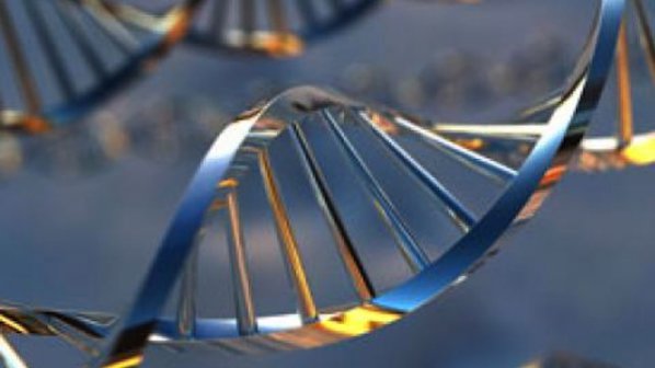 Откриха метод за раждане на деца с ДНК от трима родители