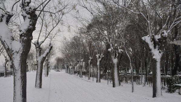 В Севлиево измериха рекордните минус 31.4 градуса