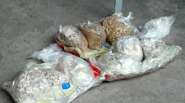 Българско муле хванато с 800 гр. кокаин на френско летище