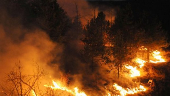 Пожар унищожи 10 дка гора