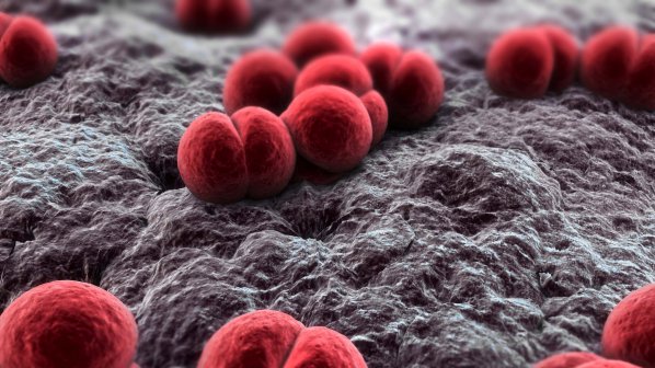 Микробиолог почина от опасна бактерия
