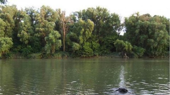 Забраниха къпането в река Дунав