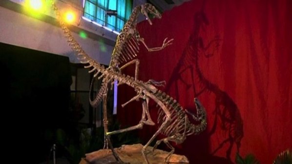 Откриха нов вид хищен динозавър