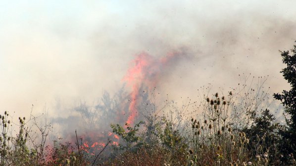 Пожар унищожи 300 декара гора в Тополовградско